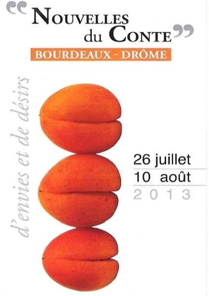 couverture brochure 2013 pour site web.jpg